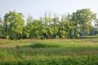 AVVISO PUBBLICO ATTIVITA  PARCO DEL SERIO foto 