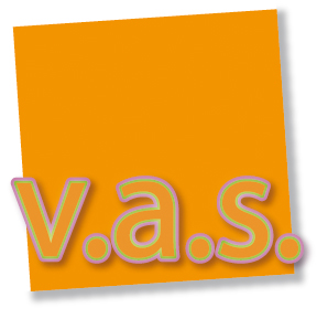 Avviso Pubblico VAS Avviso Pubblico VAS