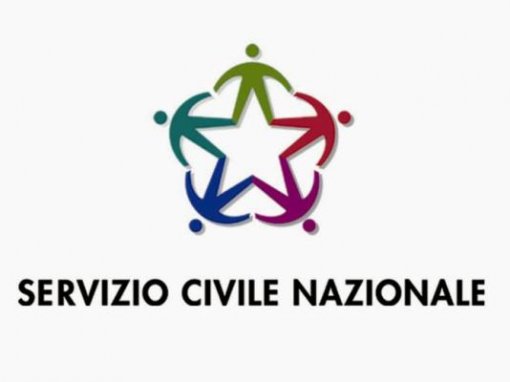 ELEZIONI DEI DELEGATI REGIONALI DEL SERVIZIO CIVILE 2010 foto 